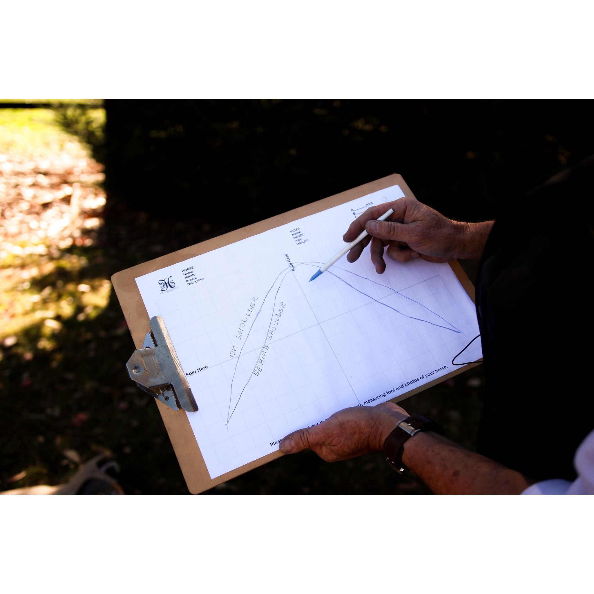 Virtual Halfbreed Gullet Size Assessment