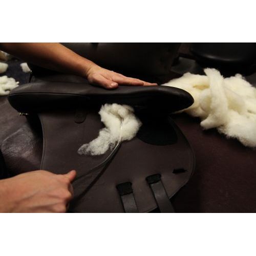 Virtual Saddle Assessment