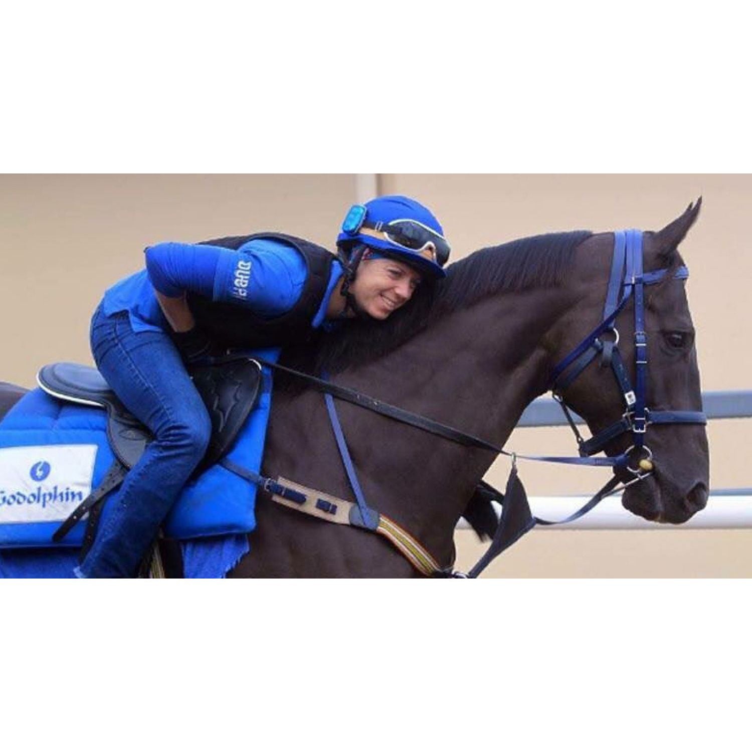 StrideFree® Deluxe Fully Mounted