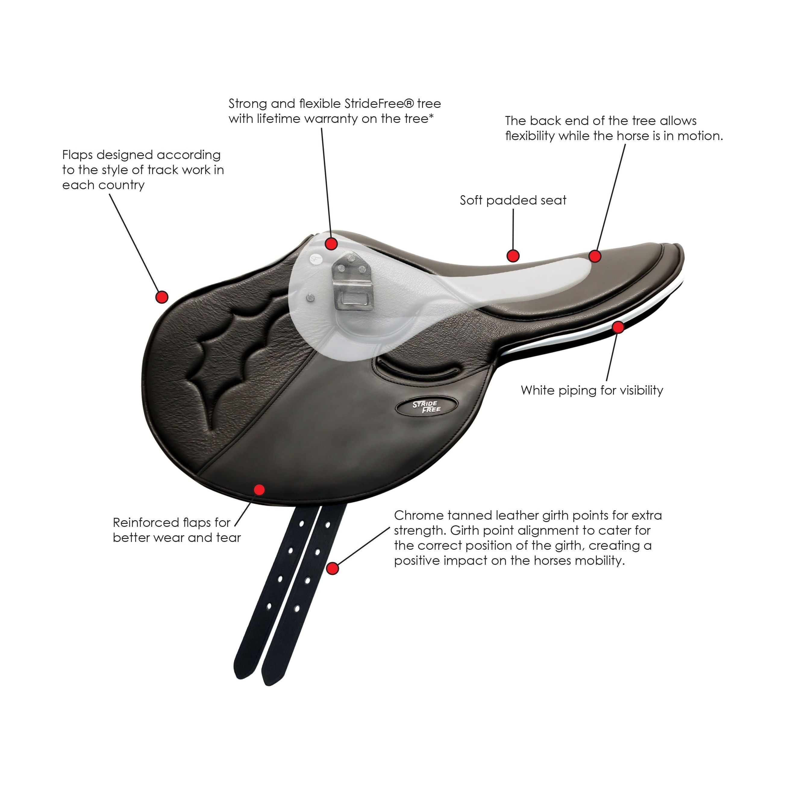 StrideFree® Original - Exercise, Training, Trackwork Saddle