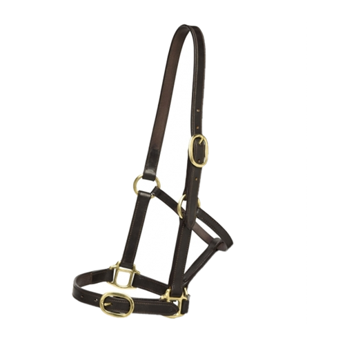 English Leather Headcollar for Equestrian or Race Day