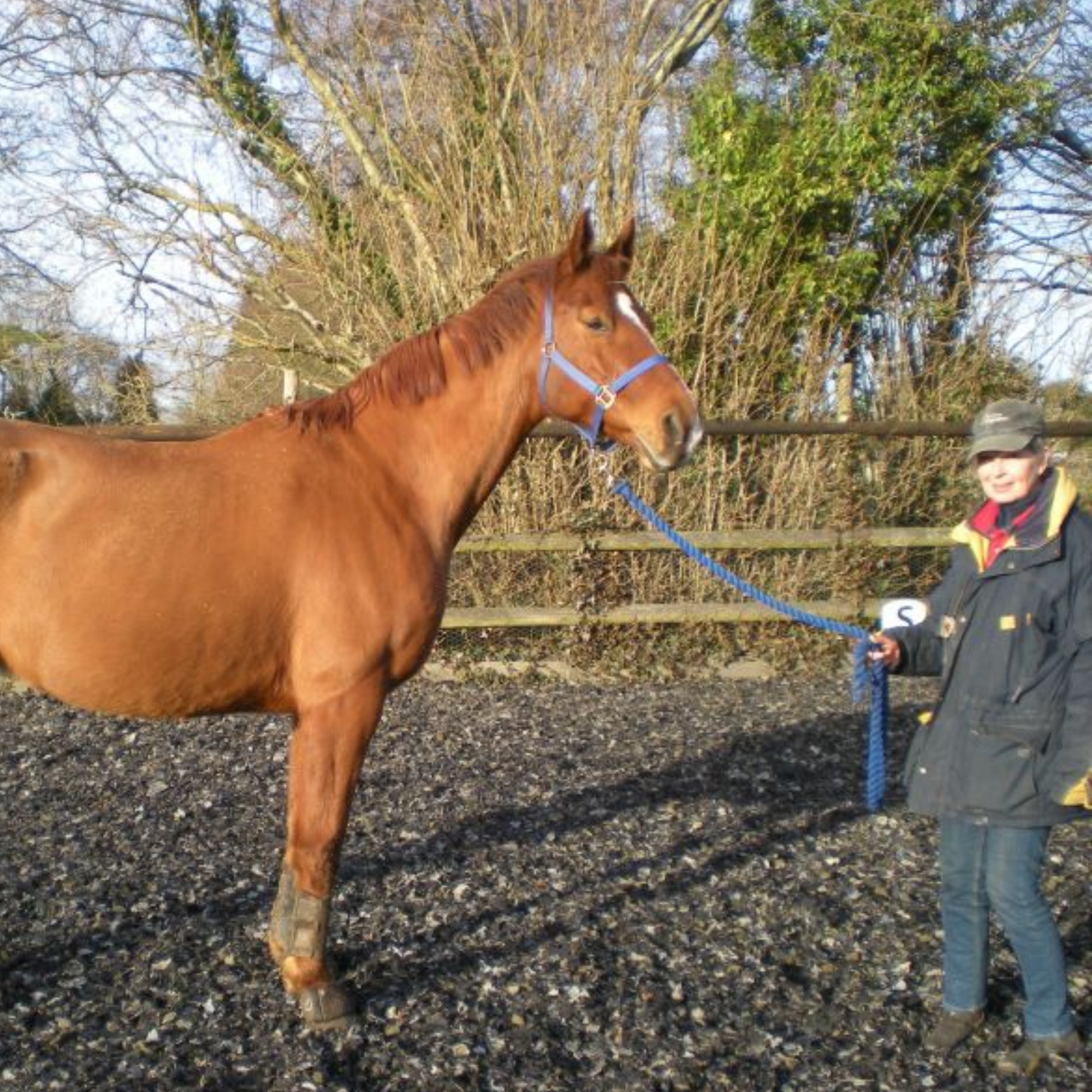 Why should I convert to a StrideFree® saddle?