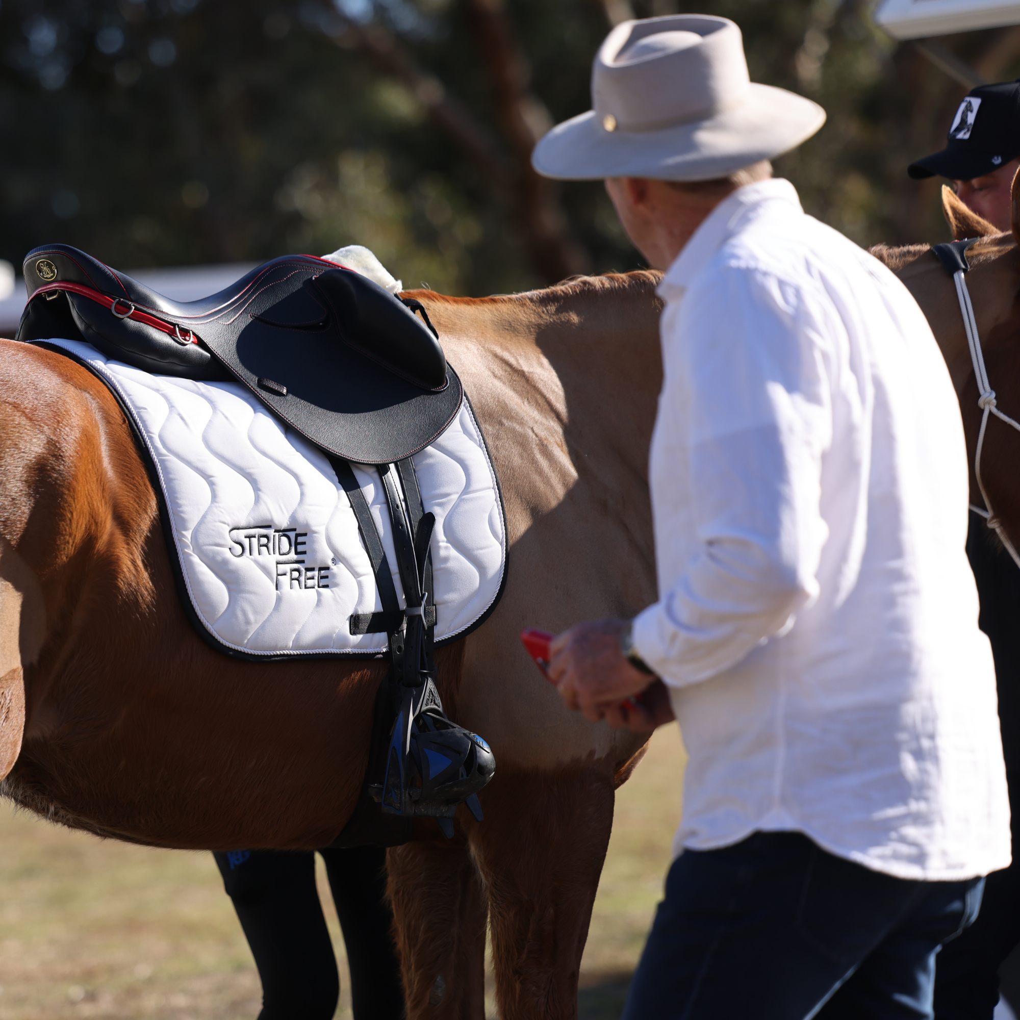 A horse's topline explained by Peter Horobin