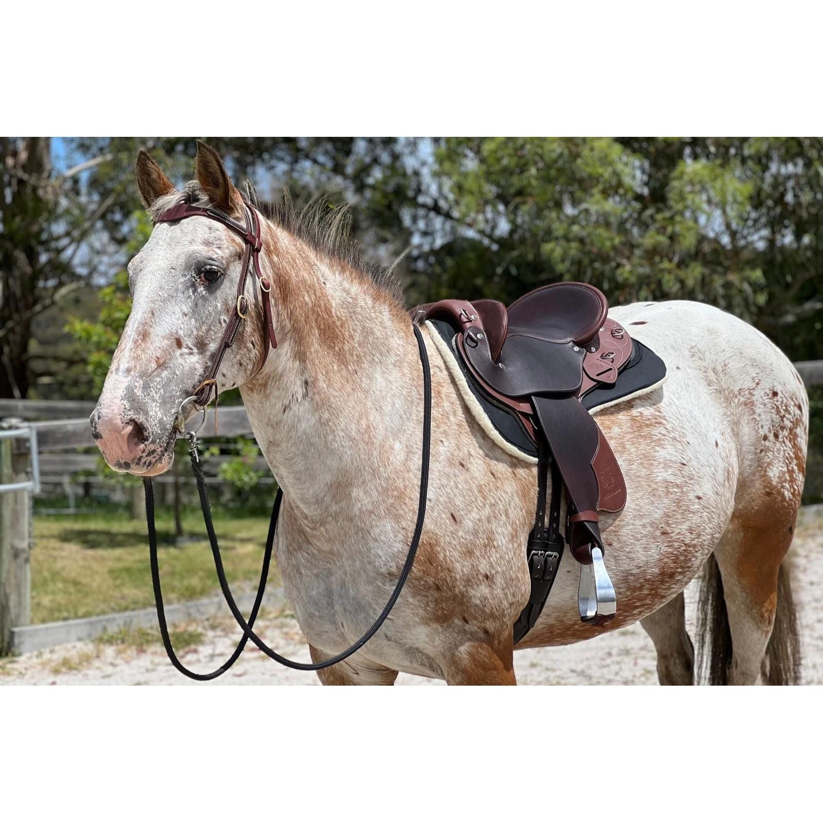 Virtual Second Hand Saddle Assessment