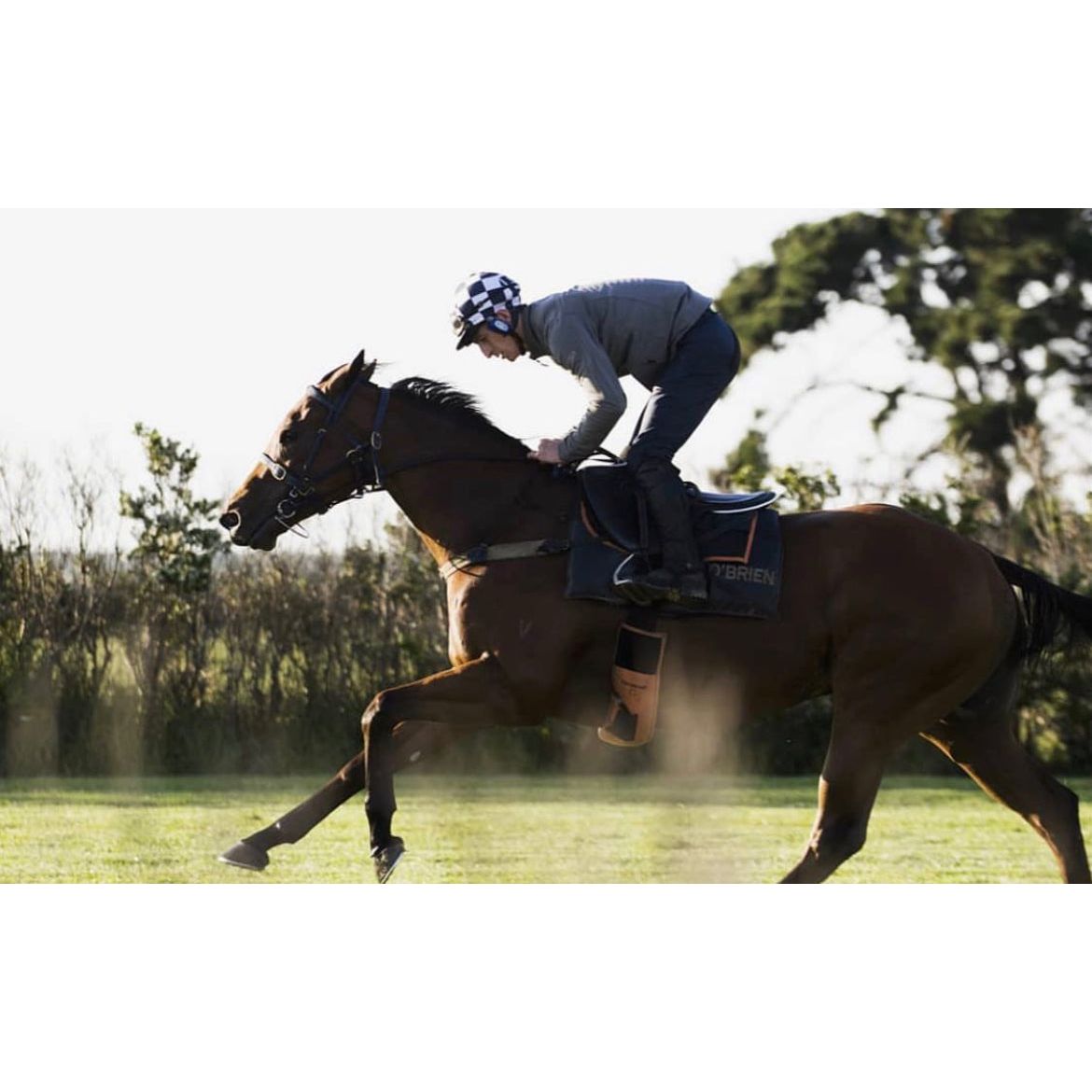 StrideFree® Deluxe Fully Mounted