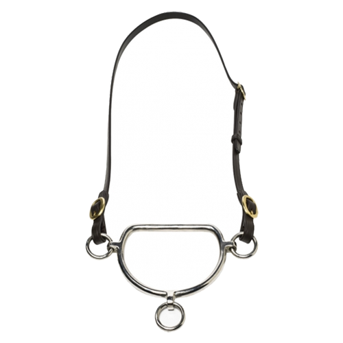 Leather Anti-Rearing Strap For Raceday